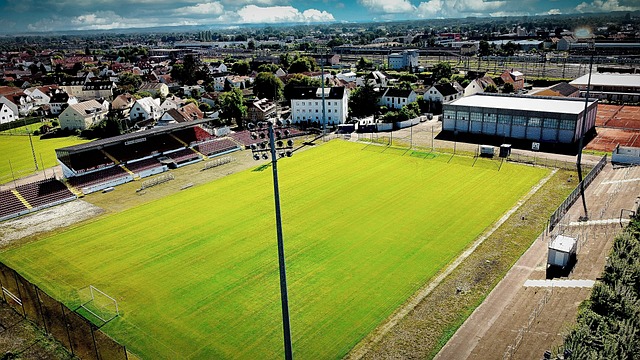 斯图尔特的 斯图尔特的